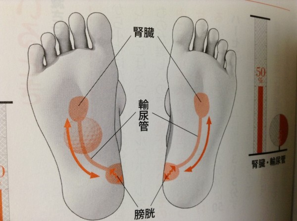 足裏の痛みはからだの不調 かも ツボ押しで改善