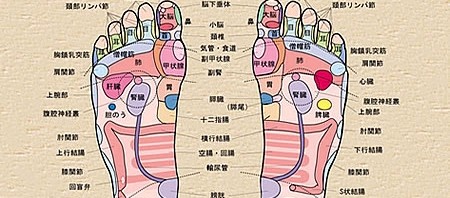 足裏 図 チャート の記事一覧