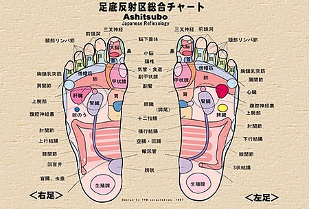 「足裏（ツボ）図」　60個以上あるポイントを一瞬で暗記する！東洋の神秘