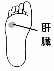 self-reflexology 足つぼ の肝臓のポイントをゴリゴリ押して元気になろう。正しい場所と押し方のコツ！