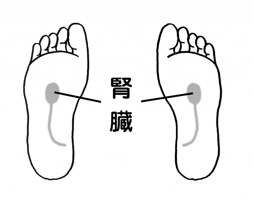 現代の髪型 50 足 つぼ 腎臓 ゴリゴリ