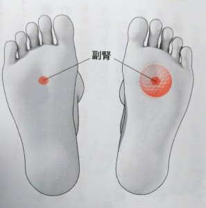 self-reflexology 体調改善は自分で出来る！足ツボの元気効果を最大に高める知っておきたい基礎知識