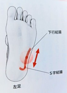 self-reflexology 体調改善は自分で出来る！足ツボの元気効果を最大に高める知っておきたい基礎知識