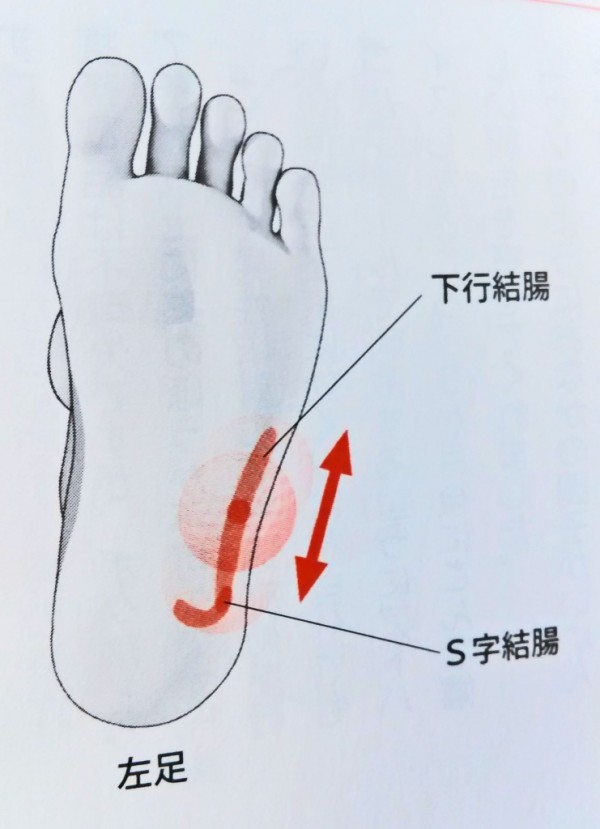 stomach-point 胃腸のつぼを刺激して、疲れ知らずの体を自分で作る