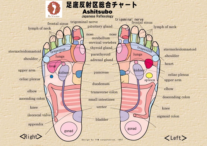 足裏の痛みはからだの不調 かも ツボ押しで改善
