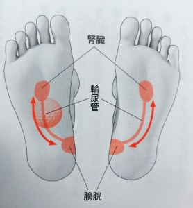 self-reflexology 体調改善は自分で出来る！足ツボの元気効果を最大に高める知っておきたい基礎知識