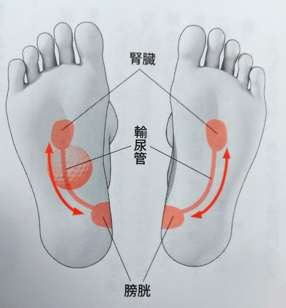 足ツボの効果と体調改善効果を実感しやすいポイントをまとめました