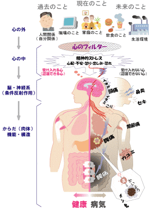 足ツボの効果と体調改善効果を実感しやすいポイントをまとめました