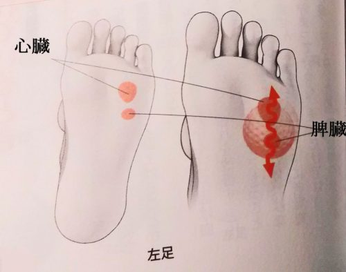 anemia-1 貧血対策！貧血を改善するための効果的なツボ押しのポイント