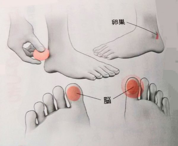 生理痛 生理不順の症状を改善し男性も元気になる即効ツボ