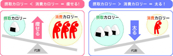 metabolism 足つぼで健康になりながら効果的にダイエットする4つのポイント